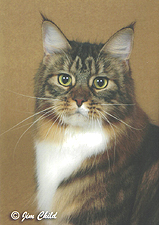 24_Catgo Tigger Lily